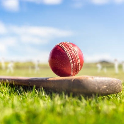 Cricket